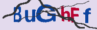 Code Captcha